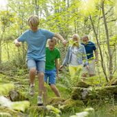 Family in woodland