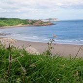 Yorkshire coastline
