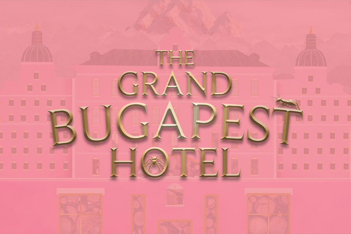 The Grand Bugapest Hotel