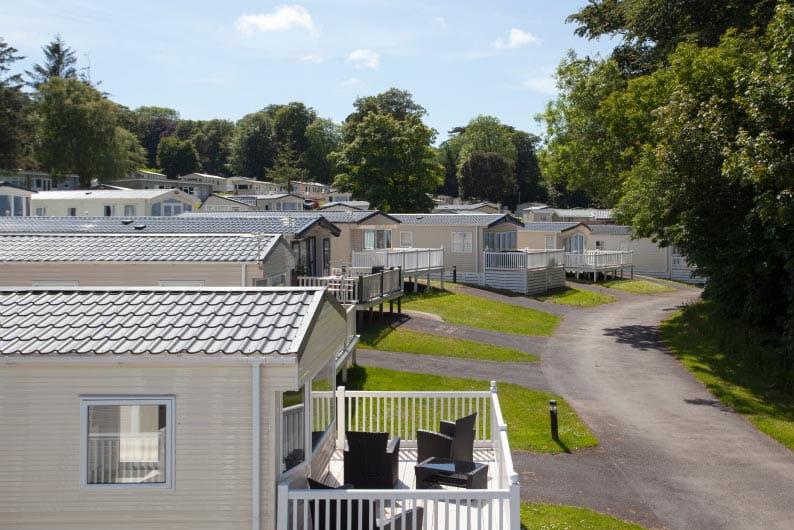 A row of Park Dean caravans surrounded by woodland