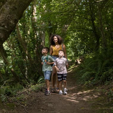 a family walking through dense woodland