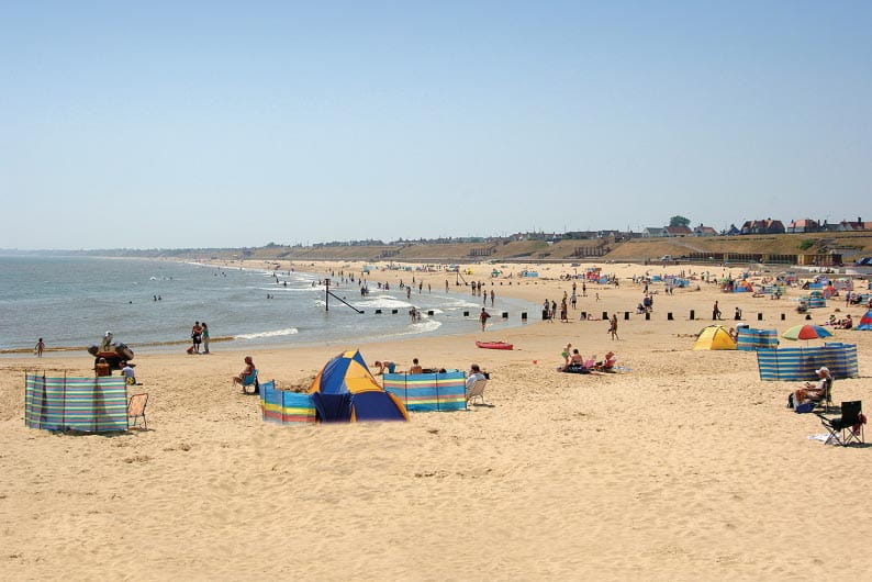 a bustling beach in the summer
