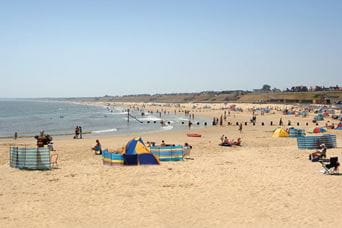 a bustling beach in the summer