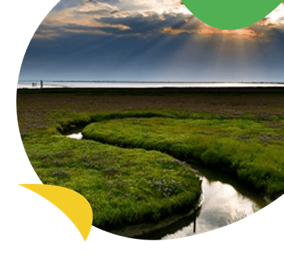 The Norfolk Broads Nation Park near Breydon Water Holiday Park