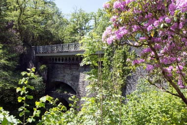 Old stone bridge hidden among trees and flowers