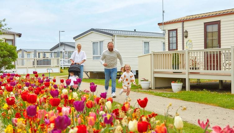 Family strolling through a tulip lined caravan park