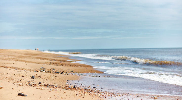 picturesque seashore