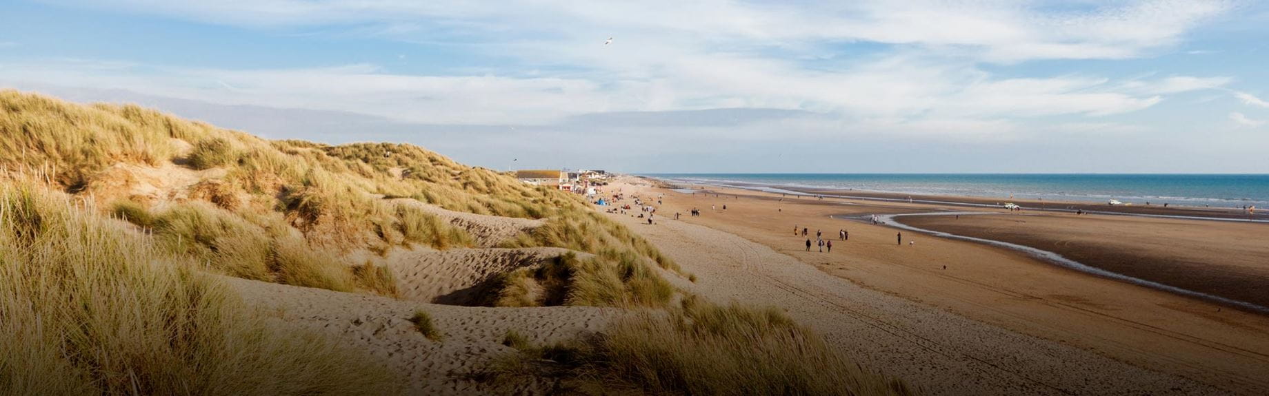 Sandy coastline