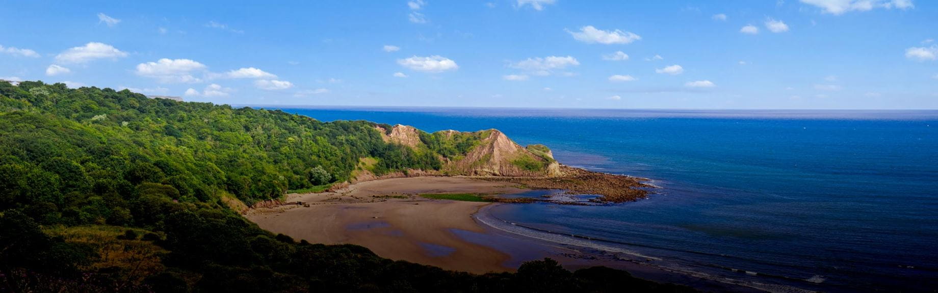 A panoramic view of forest beach and sea with blue skies