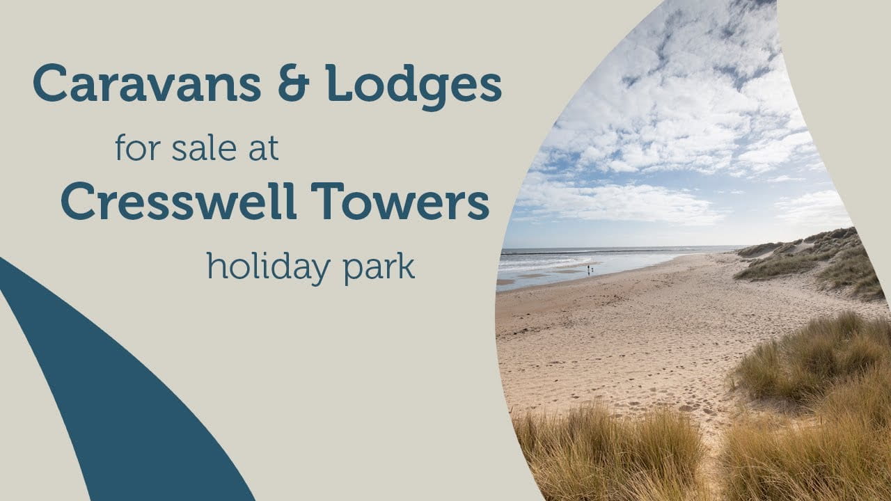 sand dunes at Cresswell Beach