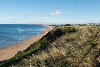 Grassy coastline