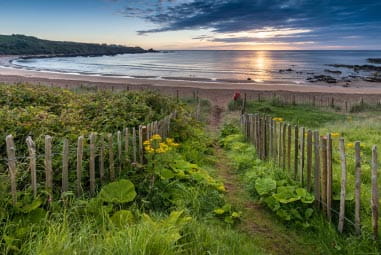 Leafy path leading to a sandy beach and sea at sunset