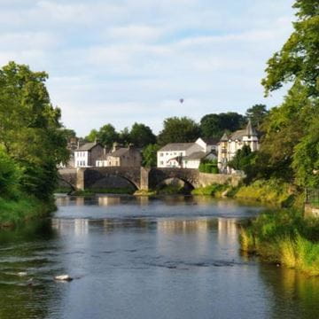 a town with a tree lined river