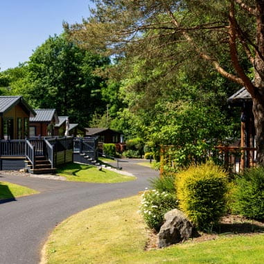 A wooden lodge surrounded by trees