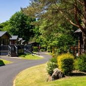 A wooden lodge surrounded by trees