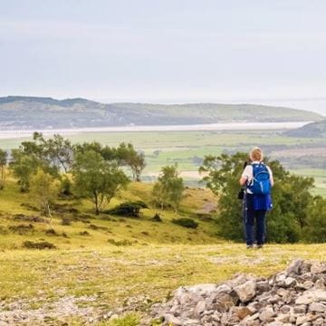 a man enjoying a nature walk