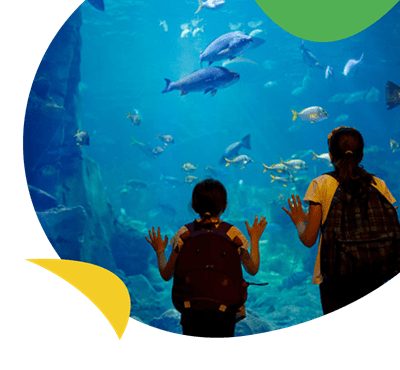 Blue Reef Aquarium in Newquay, near Holywell Bay Holiday Park