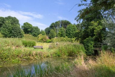 View of leafy countryside with river
