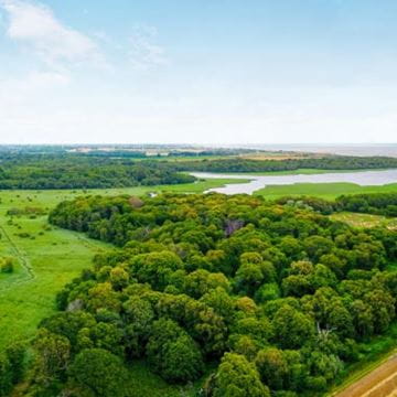 Arial view of countryside with trees, field and lake
