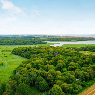 Arial view of countryside with trees, field and lake