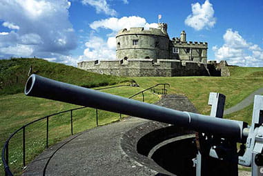 a castle and a cannon