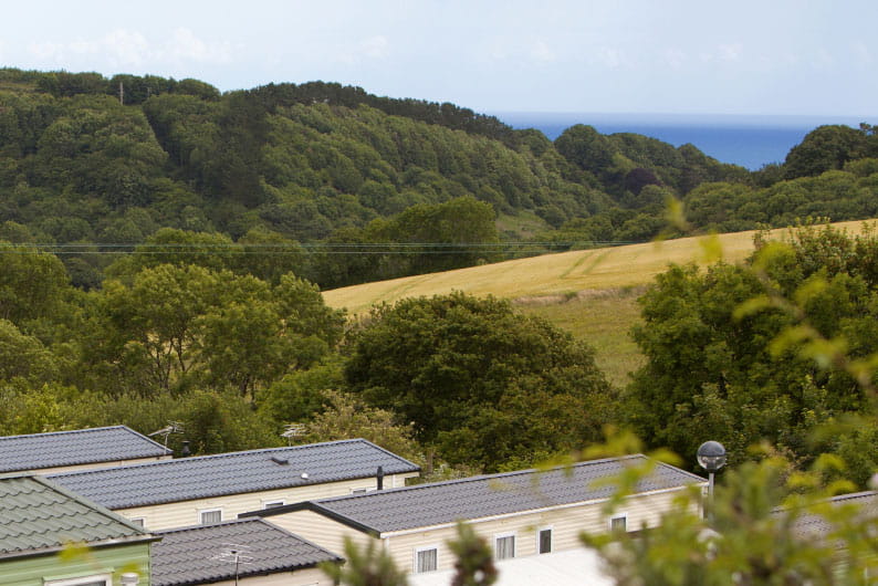 Birds eye view of Looe Bay holiday park, with rolling hills and trees