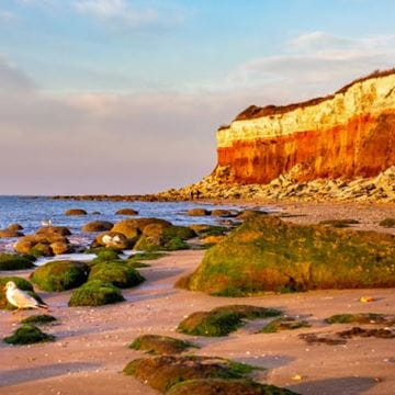 a cliff face and beach on the East Anglia coast