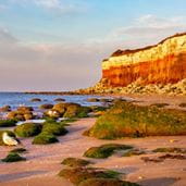 a cliff face and beach on the East Anglia coast