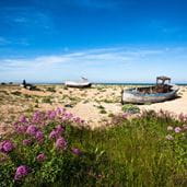 a view of a nature reserve on a sunny day