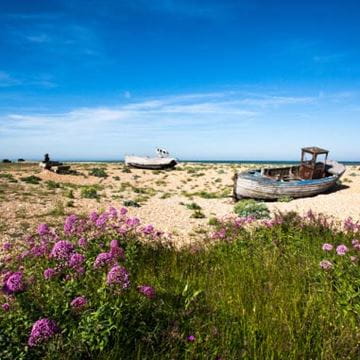 a view of a nature reserve on a sunny day
