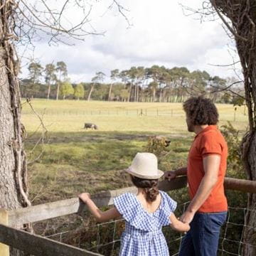 a family looking out at wildlife in a field