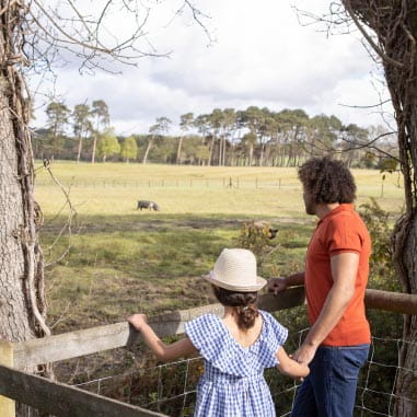 a family looking out at wildlife in a field