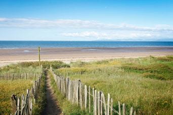 a country path leading to a sandy beach