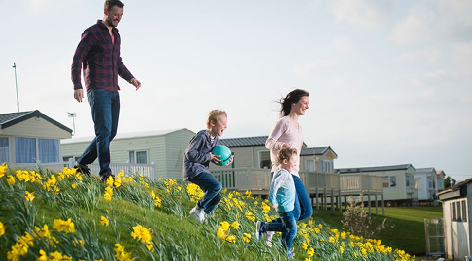 A family walking down a grassy bank of daffodils at Southerness Holiday Park