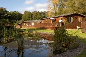 wooden lodges with a small lake in the foreground