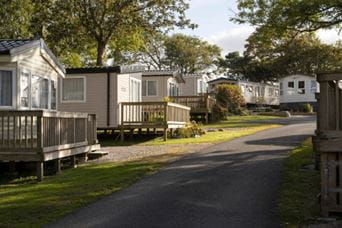 A row of caravans surrounded by trees