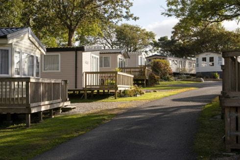 A row of caravans surrounded by trees
