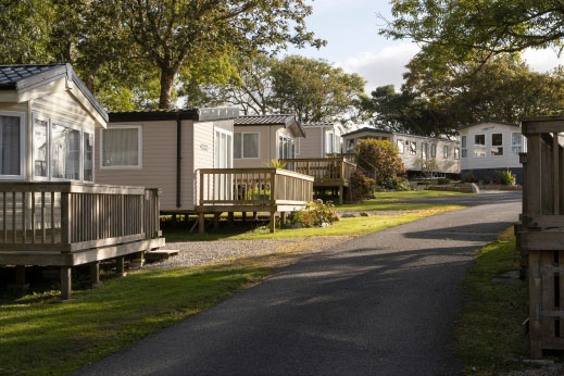 A row of caravans surrounded by trees