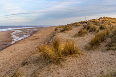 a beach and fields