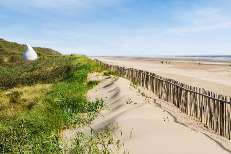 a sandy path alongside a beach on a sunny day