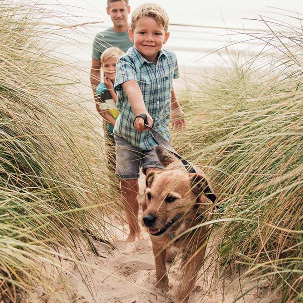Dog Friendly Thorness Bay
