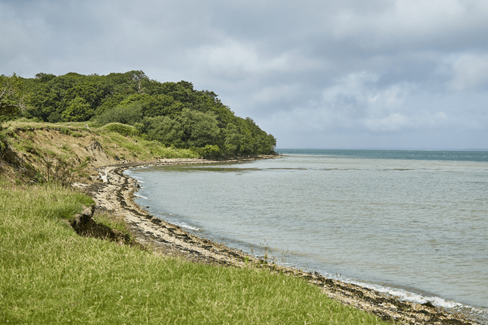 Shoreline at Thorness Bay