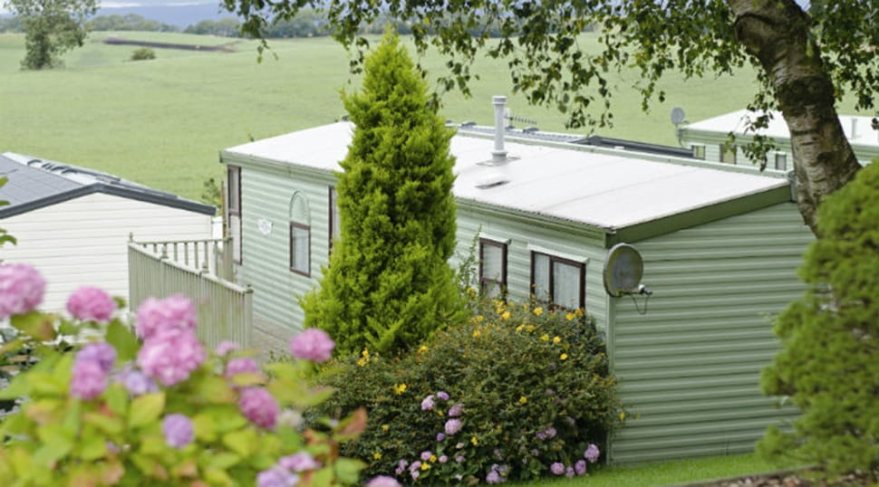 Caravans surrounded by flowers and trees at Todber Valley Holiday Park
