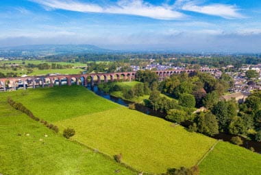 Fields bordered by trees and a row of houses in the distance