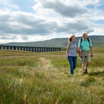 Couple walking hand-in-hand in a secluded grassy area