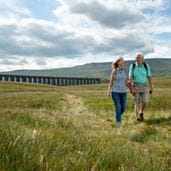 Couple walking hand-in-hand in a secluded grassy area