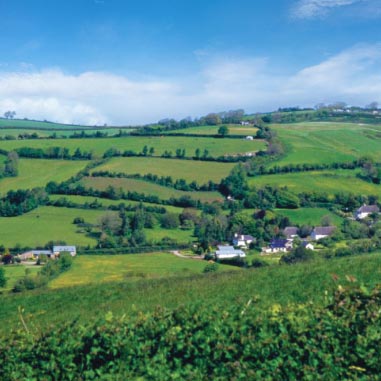 rolling countryside