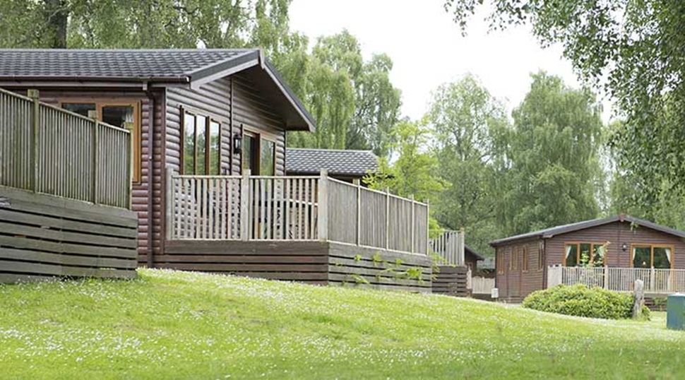 Wooden lodges with verandas at Tummel Valley Holiday Park