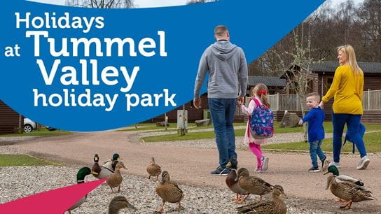 Holidays at Tummel Valley Holiday Park