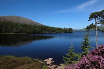 Deep blue Loch Tummel with green hills surrounding it